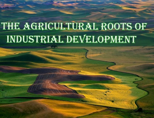 The agricultural roots of industrial development